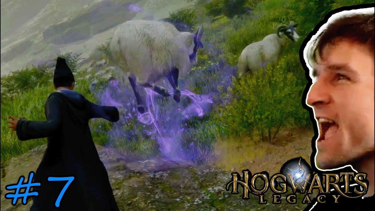 Fly Goat!! // Hogwarts Legacy (Part 7)