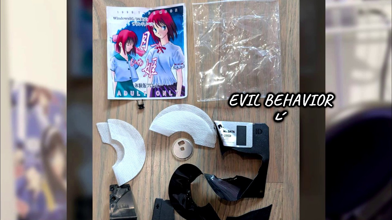 Таможня США уничтожила редкую версию игры Tsukihime.