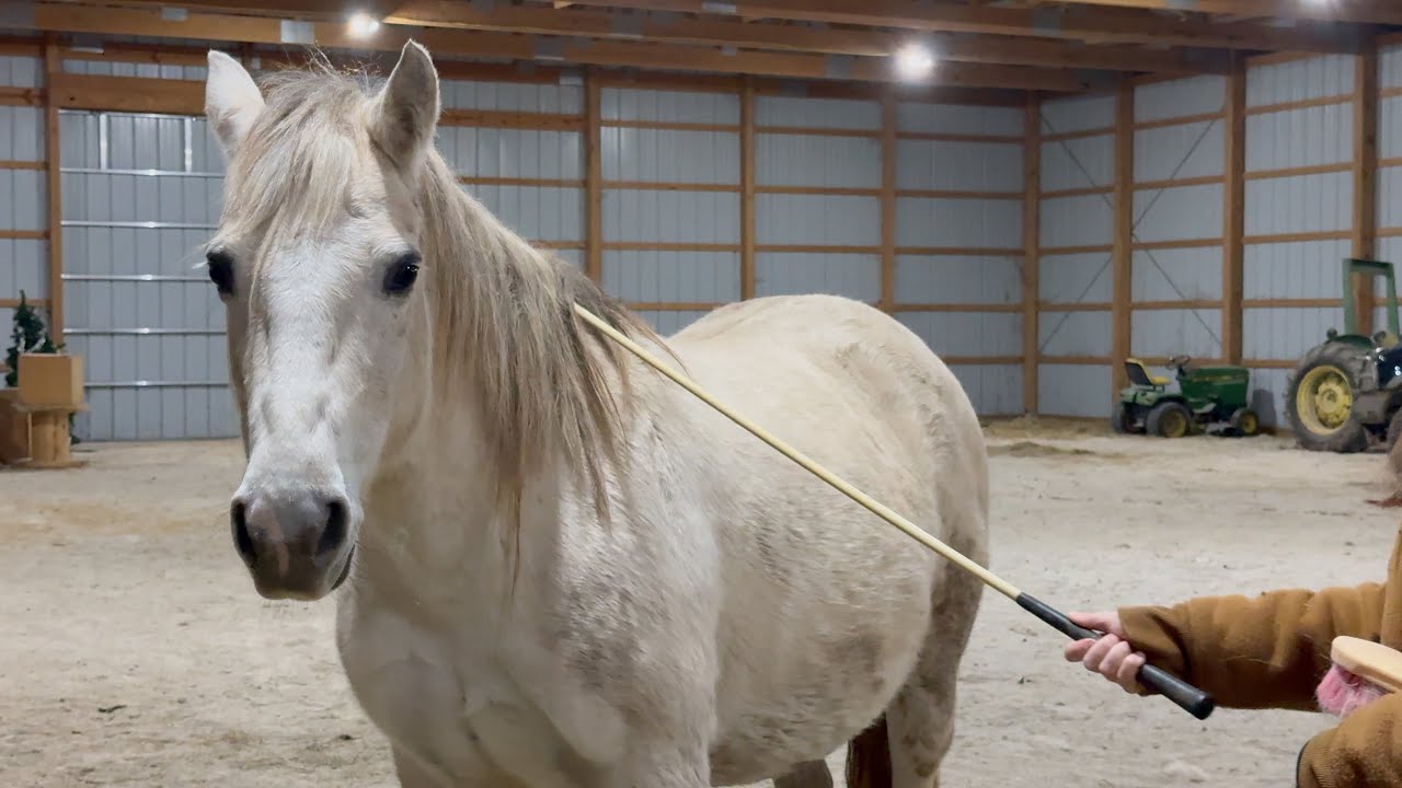 Vlog: Some Fun With Delilah!
