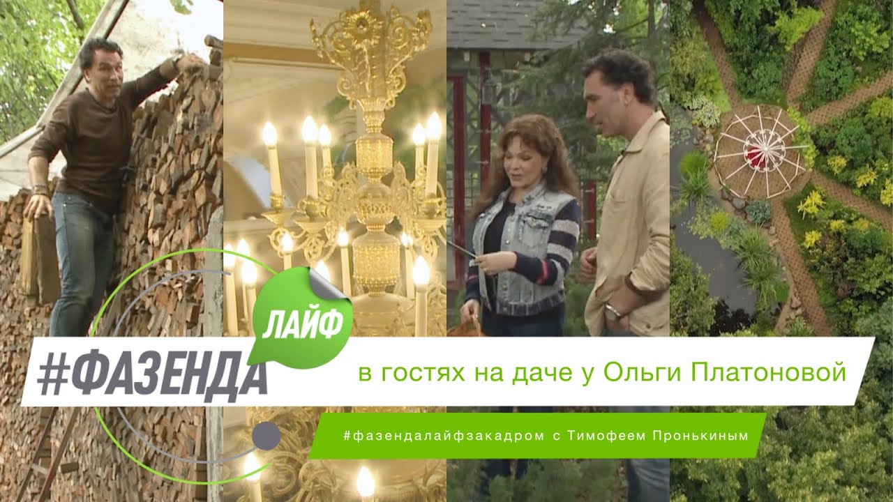 ФАЗЕНДА ЛАЙФ. СПЕЦИАЛЬНЫЙ ВЫПУСК. ВЕДУЩИЙ – ТИМОФЕЙ ПРОНЬКИН. ГОСТЬ – ОЛЬГА ПЛАТОНОВА