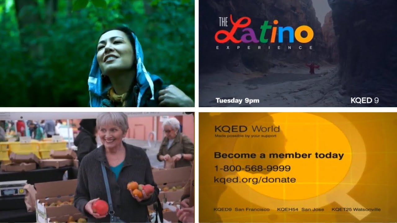 World Channel Program Break (2021, KQED-DT3)
