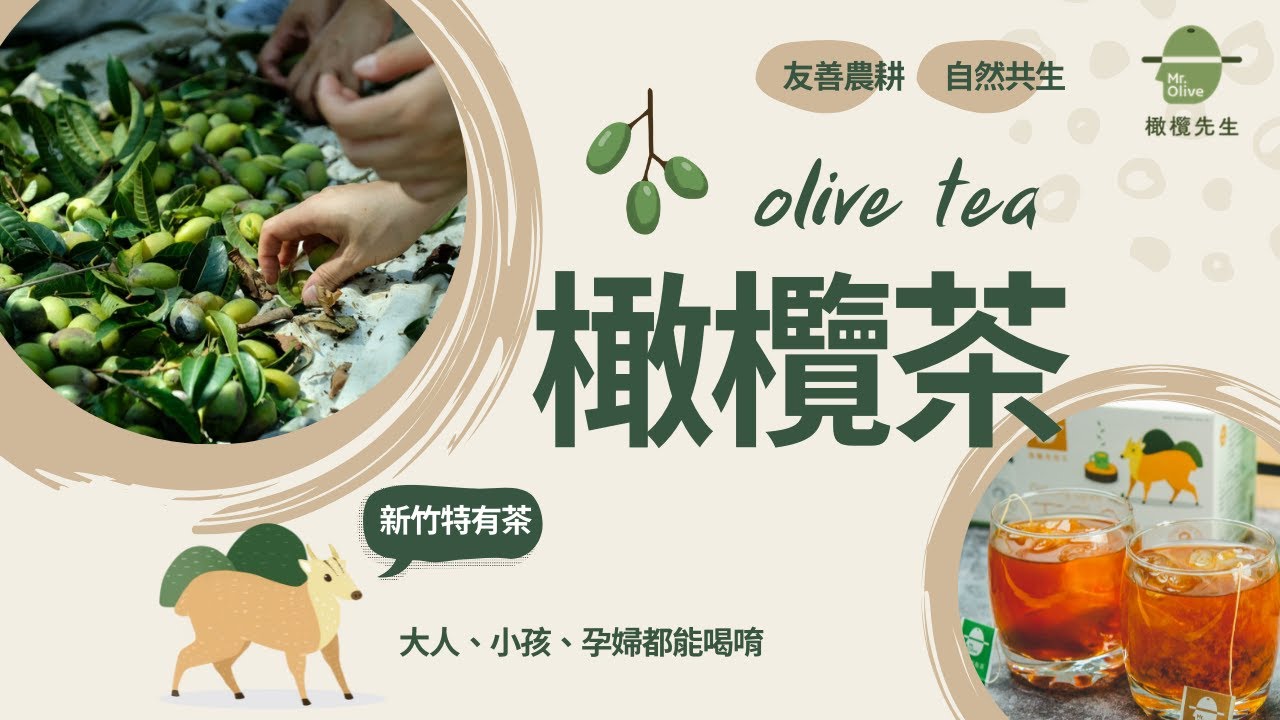 橄欖也可以做茶?!! 橄欖葉與果實的精華 橄欖多酚【橄欖先生】