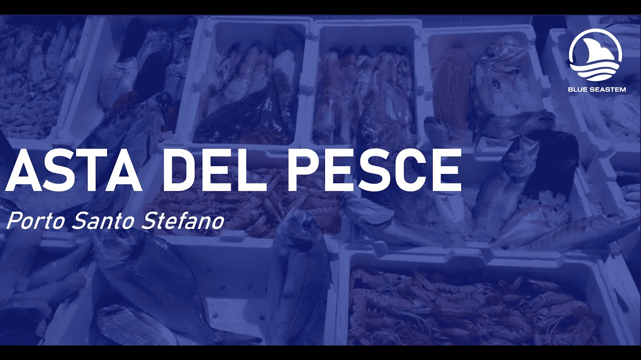 Come funziona l'asta del pesce