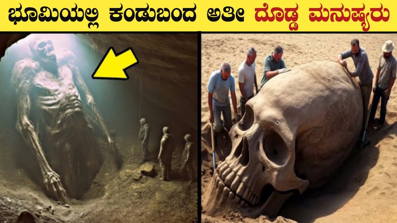 Biggest Human Skull Mystery Explained In Kannada | Top Interesting Facts In Kannada | Think Forever