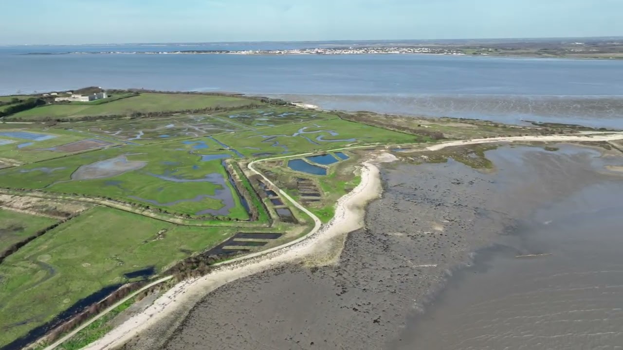 2025 - Les carrelets de l'ïle Madame