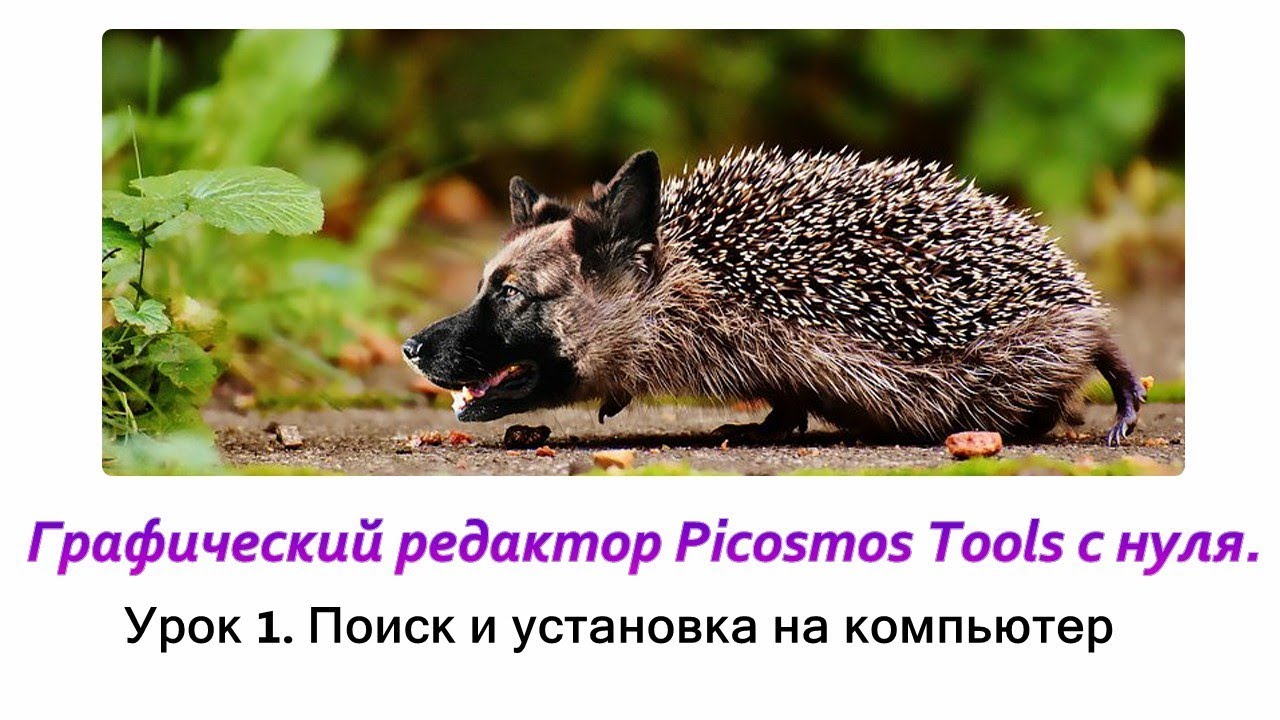 Picosmos Tools с нуля. 1 Поиск программы в интернете и установка на компьютер