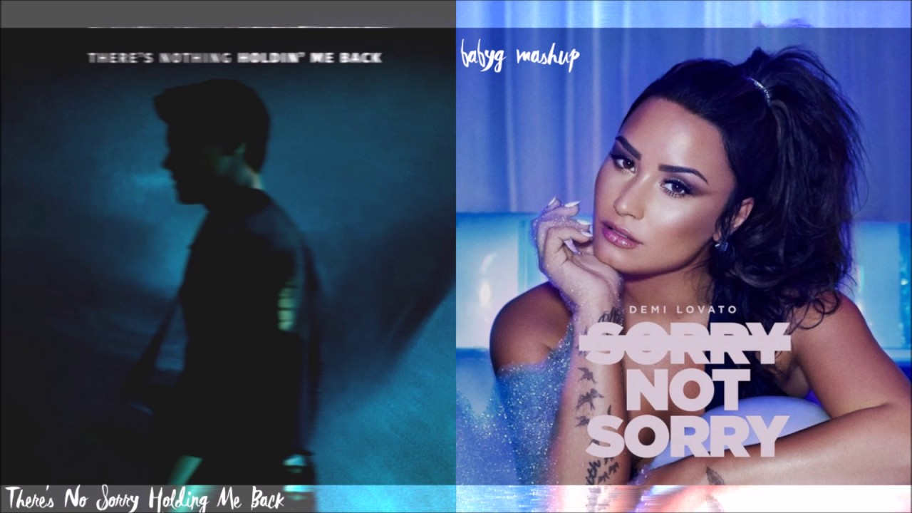 There's No Sorry Holding Me Back | Shawn Mendes & Demi Lovato mashup