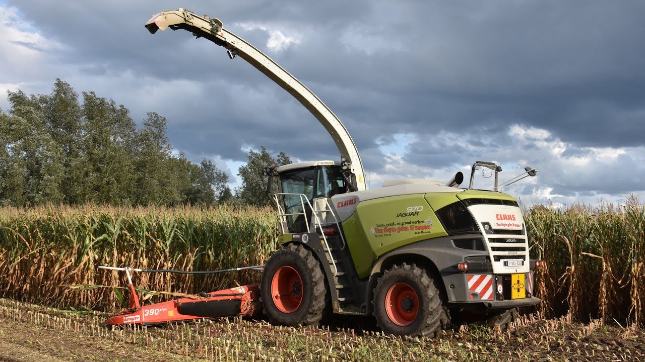 Claas Jaguar 970-type 498 & Kemper 390plus - Loonw. Van Geyte - mais hakselen