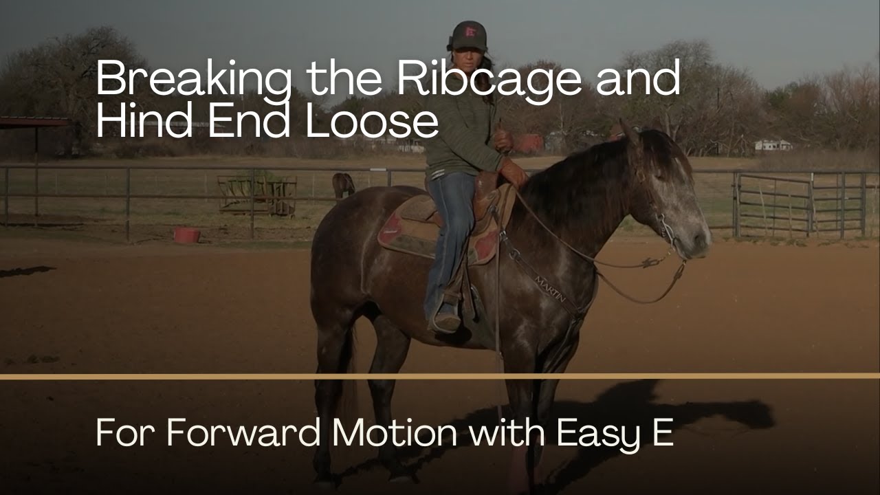 Breaking the Ribcage and Hind End Loose for Forward Motion with Easy E