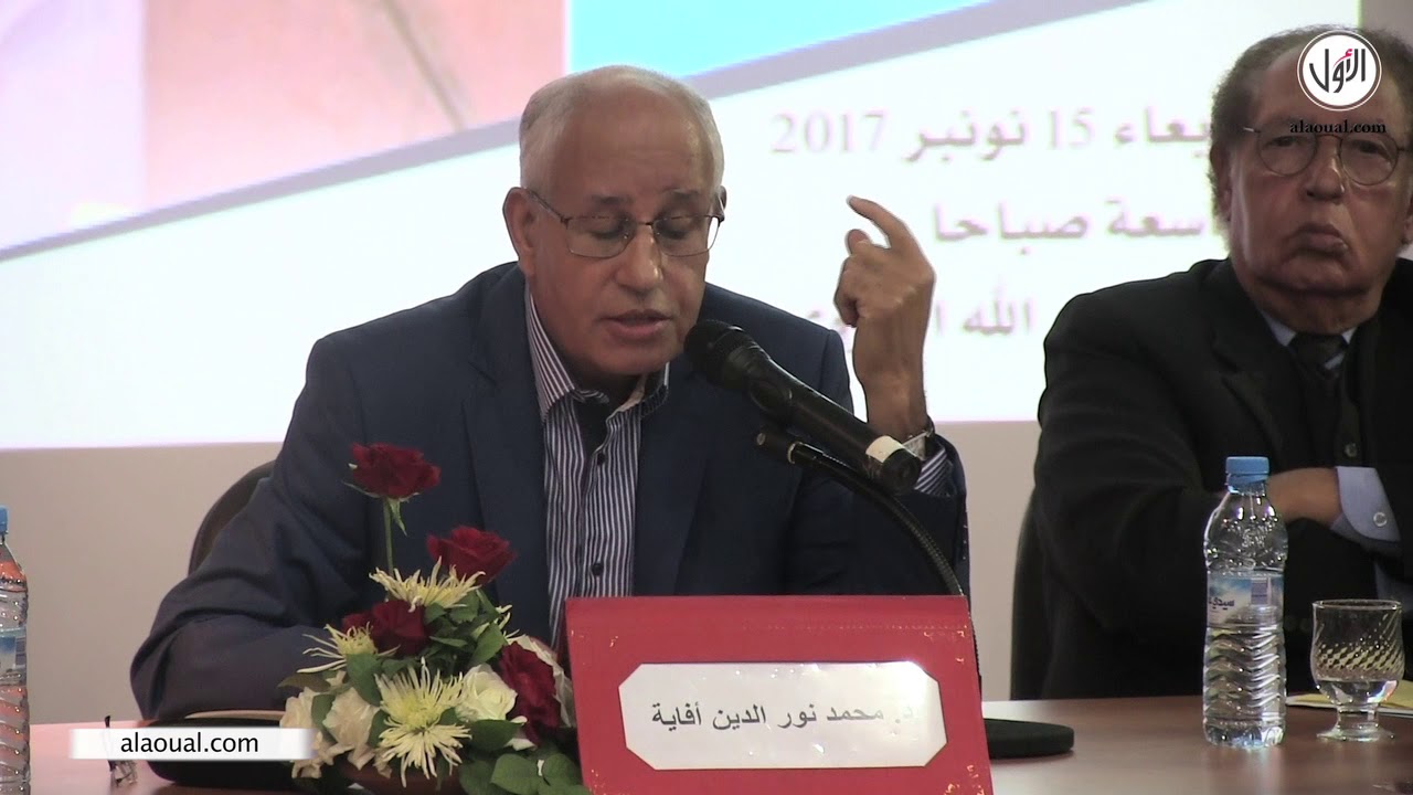 نور الدين أفاية: 