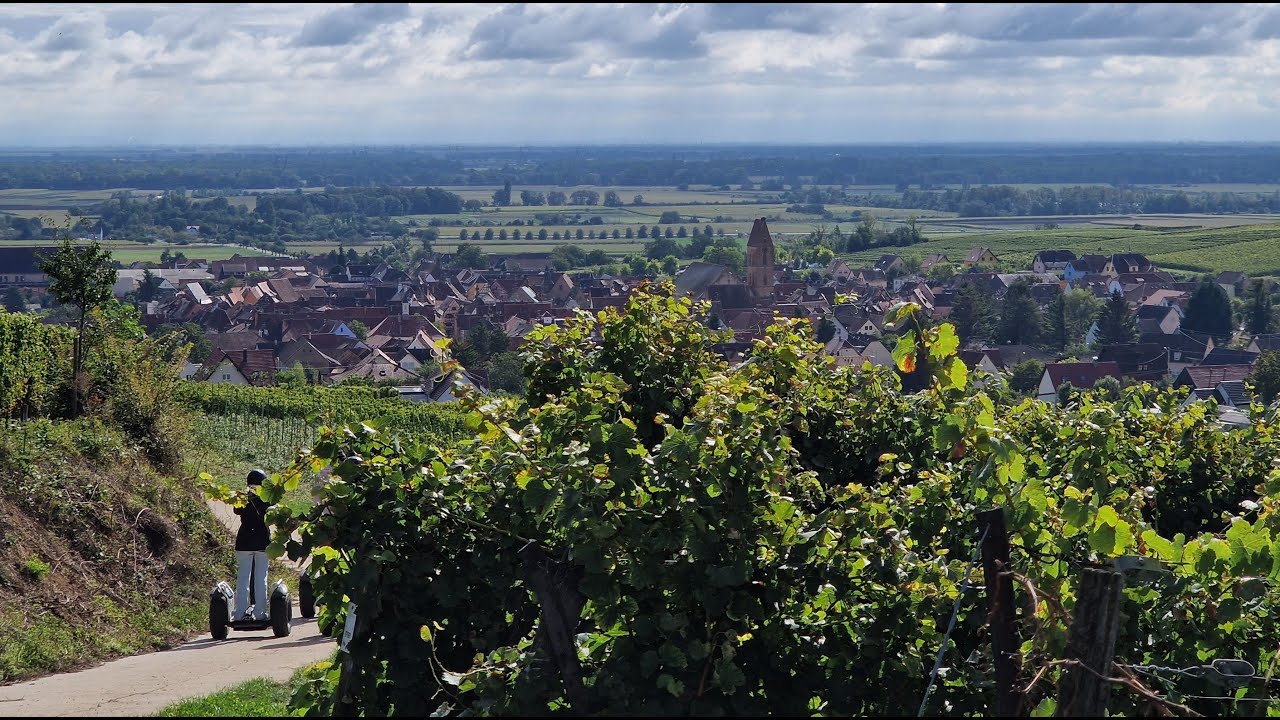 Campingplatz Eguisheim / Elsass | Frankreich #002