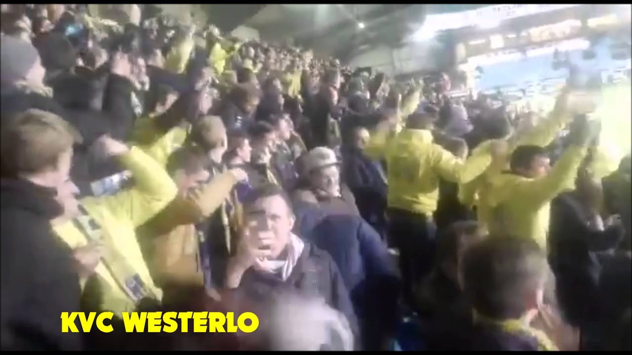 Belgium Ultras- KVC Westerlo