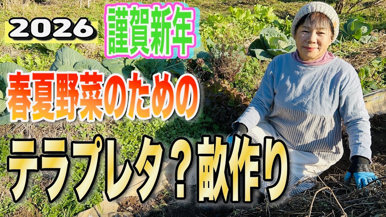 2026年もよろしくお願いします。今日は何年も耕さなくて良い畑を作ります！