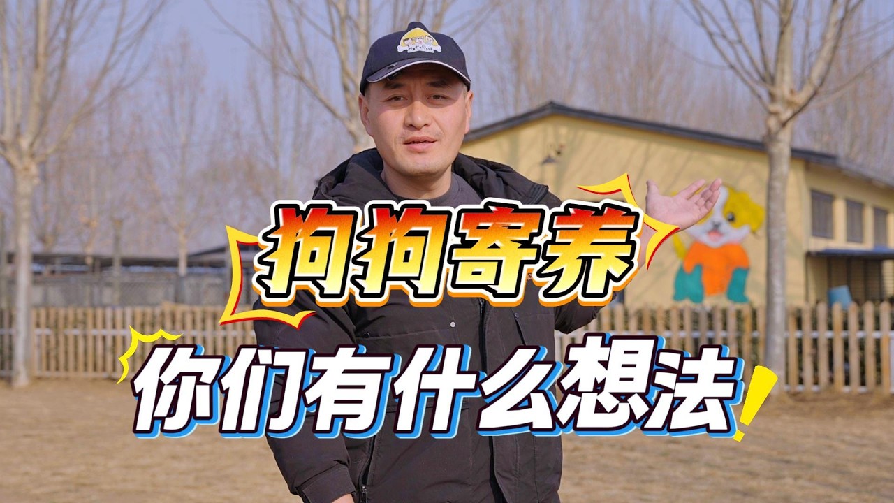 照顾狗狗不是儿戏，只有不断地改善才能做得更好\Taking care of dogs is not easy, we must constantly improve the environment