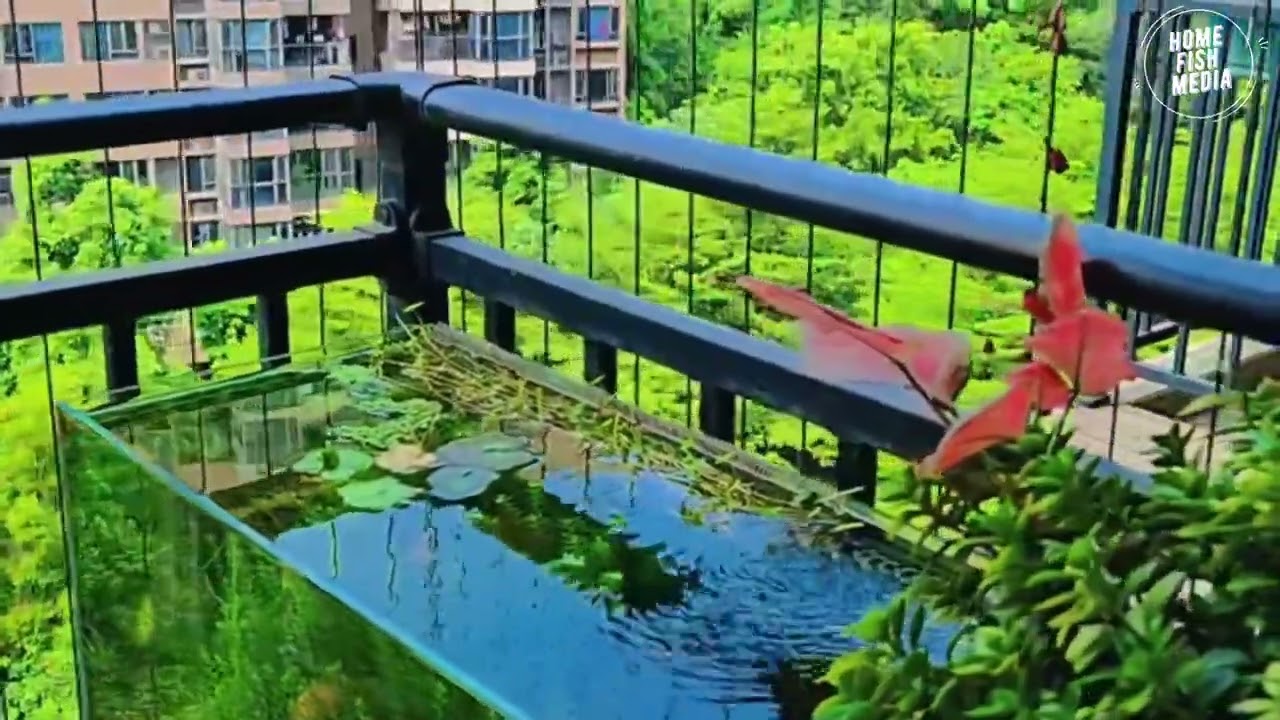 Stunning Underwater World: Explore the Beauty of a Plan Aquarium #575