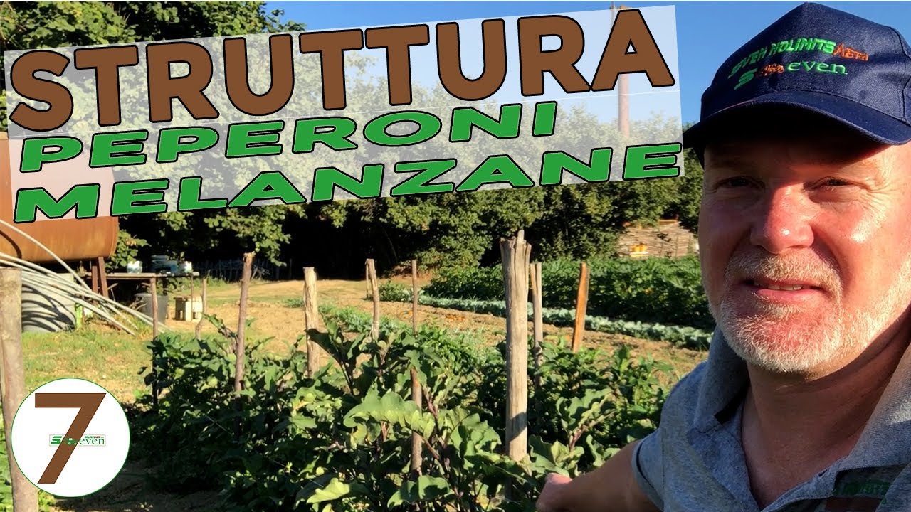 Struttura Peperoni e Melanzane