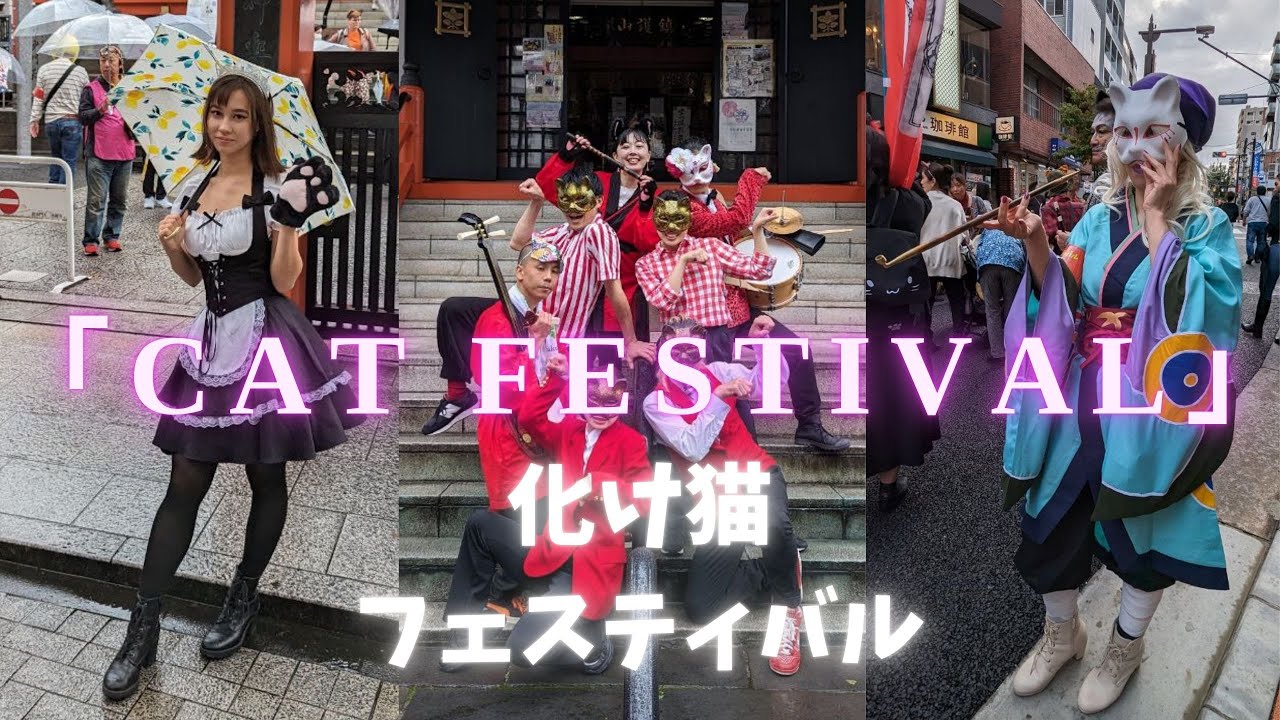 Bake Neko  -😻Cat Cosplay Festival | 化け猫フェスティバル | 4K