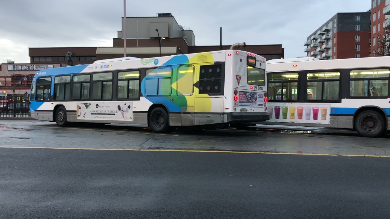 STM-STL Buses in Action - October 2021