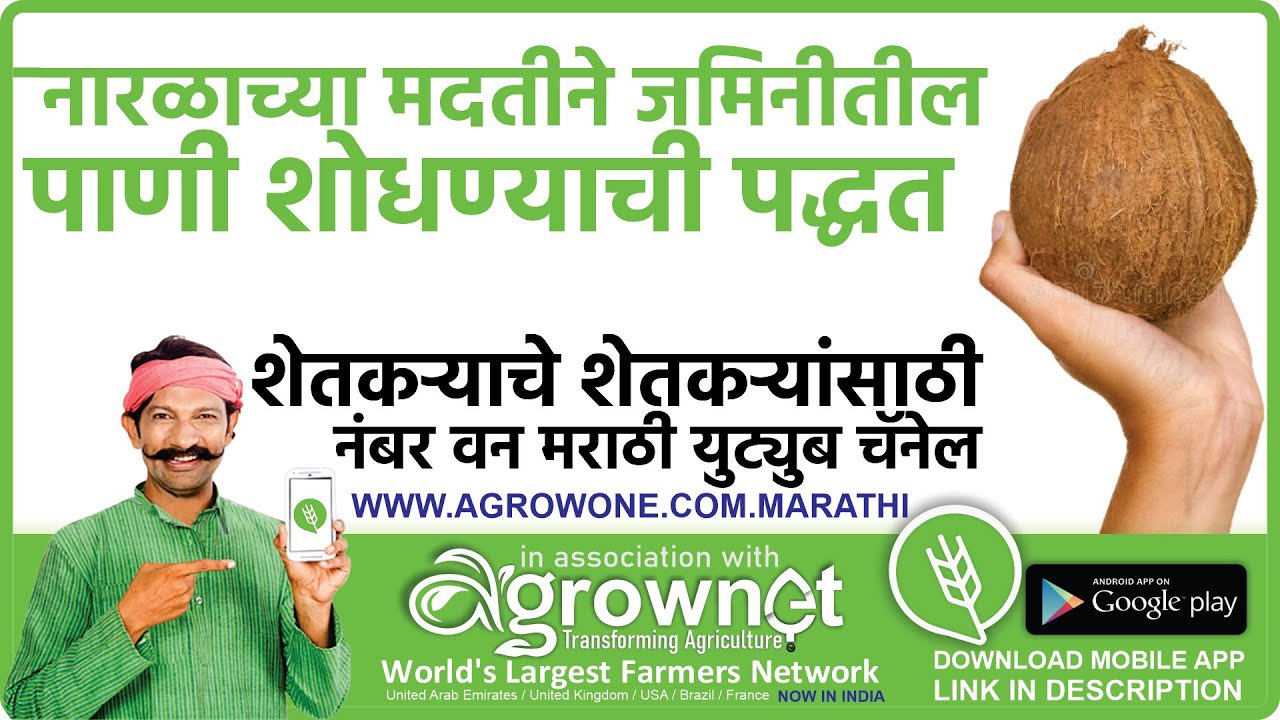 नारळाच्या मदतीने जमिनीतील पाणी शोधण्याची पद्धत जमिनीमध्ये पाणीसाठा कसा शोधायचा ?