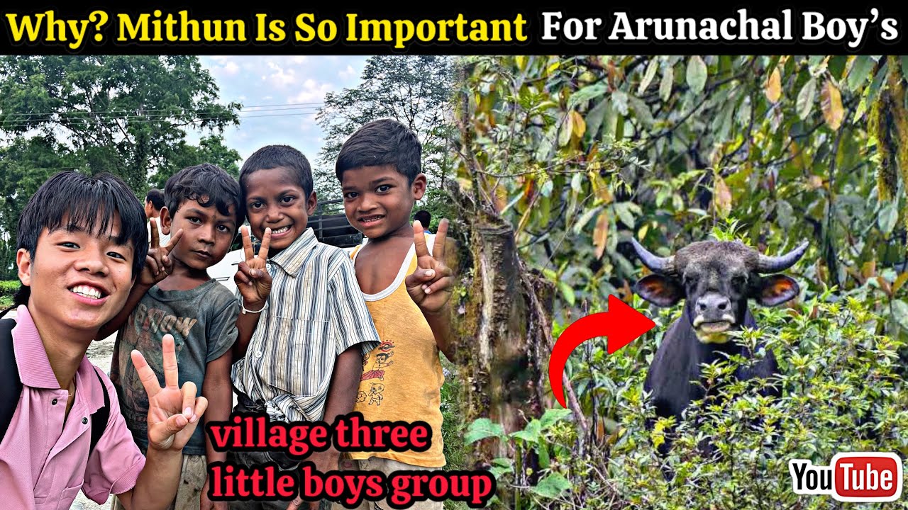 Why? Mithun Is So Important For Arunachal boy’s || Village three Little boy’s group😍