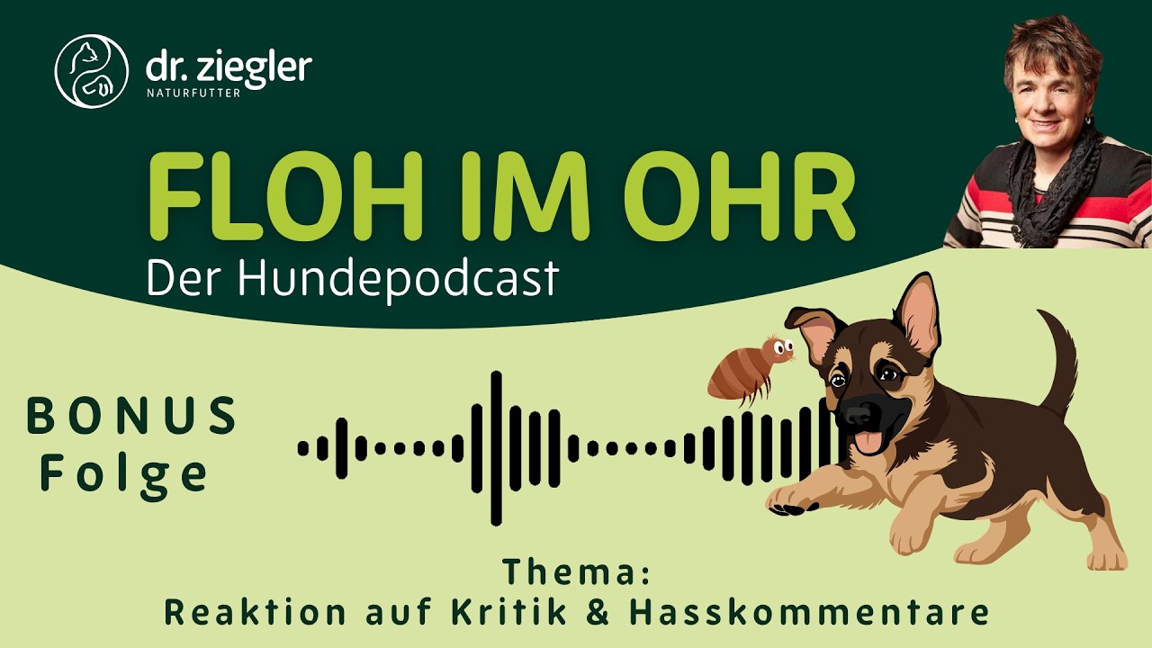 Bonus-Folge | Reaktion auf Kritik und Hasskommentare mit Dr. Jutta Ziegler