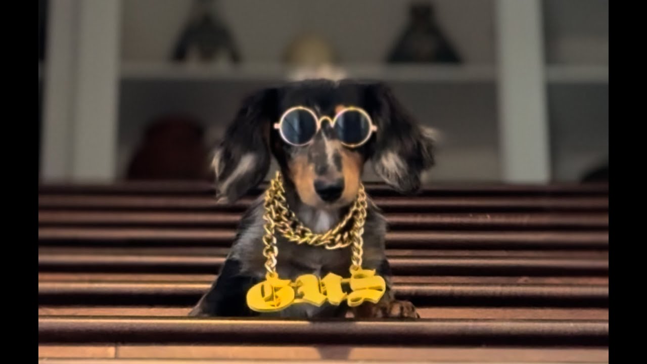 GUS