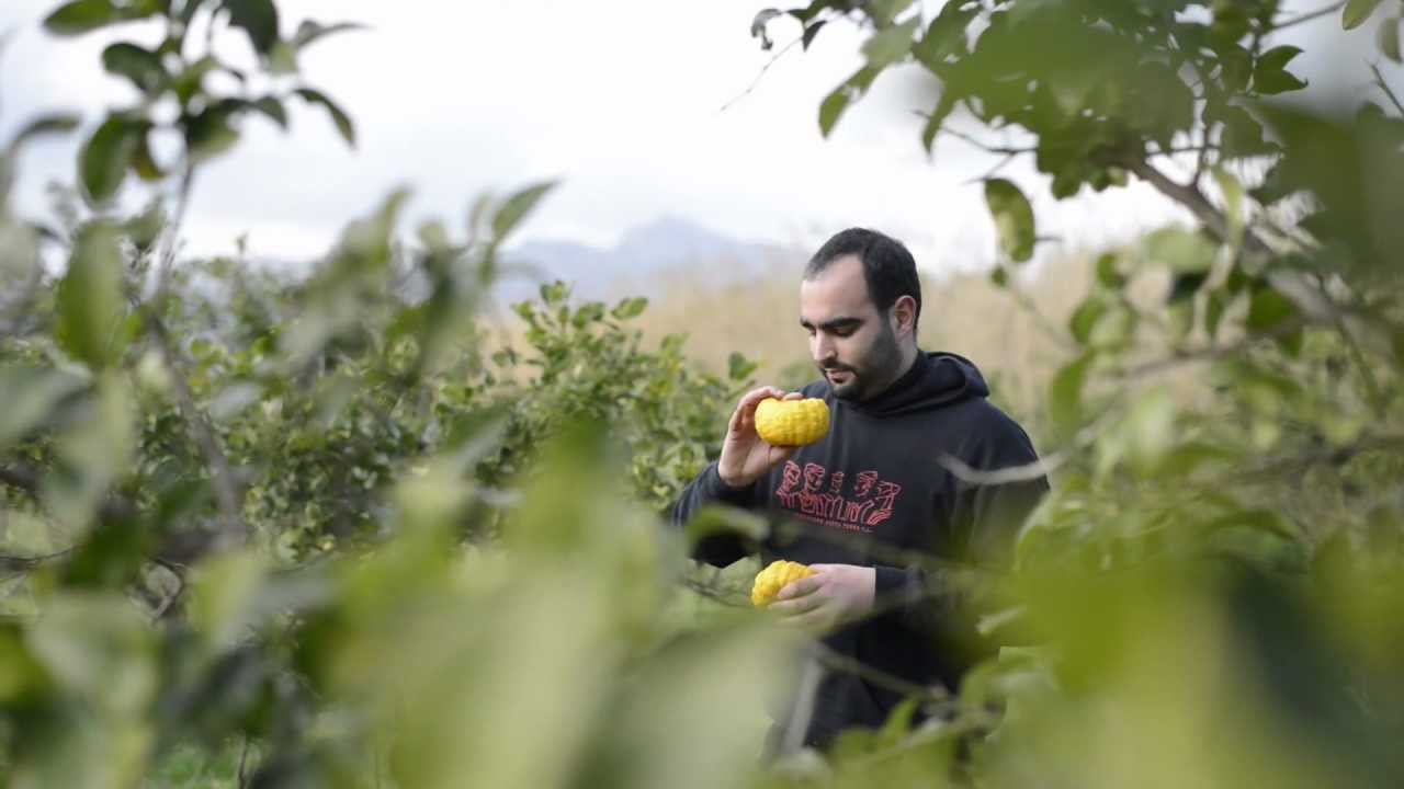La Pompia - un frutto antico, uno strumento per lo sviluppo e per l'emancipazione sociale