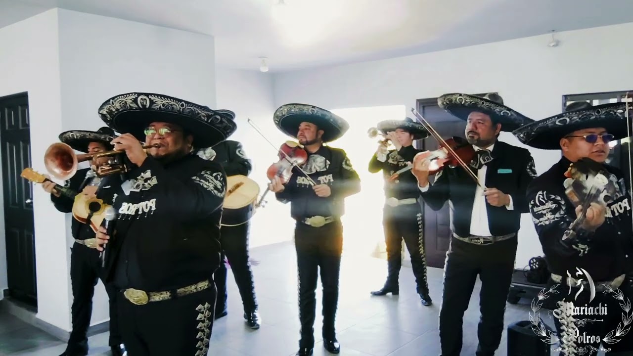 Regalo de Dios - Mariachi Potros de Monterrey