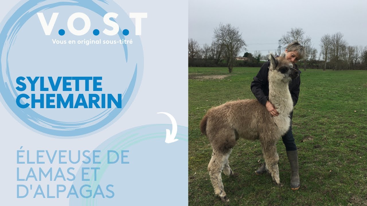 #VOST Sylvette, éleveuse d'alpagas et de lamas : 