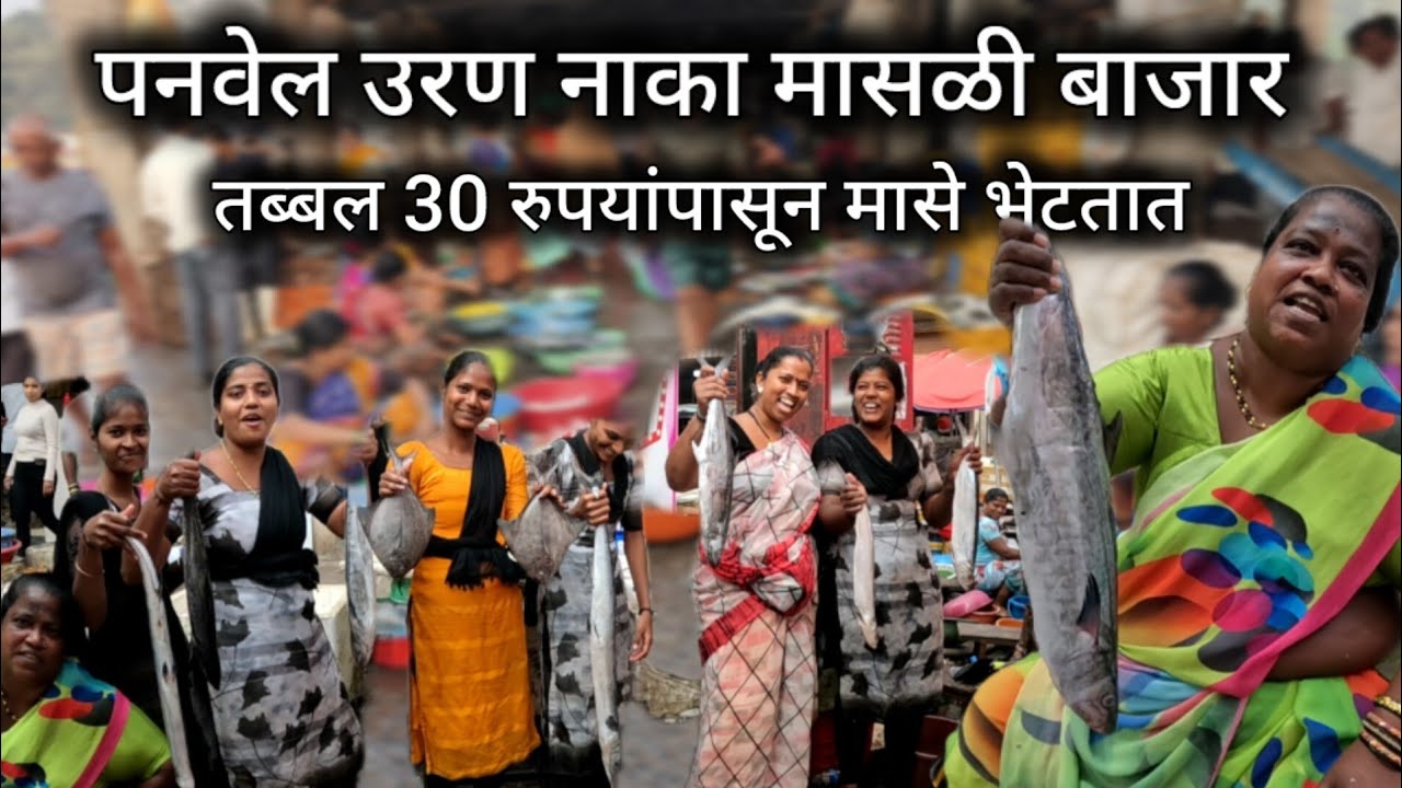 अगदी 30 रुपयांपासून मासे भेटतात।पनवेल उरण नाका मासळी बाजार #मासळीबाजार panvel uran naka fish market