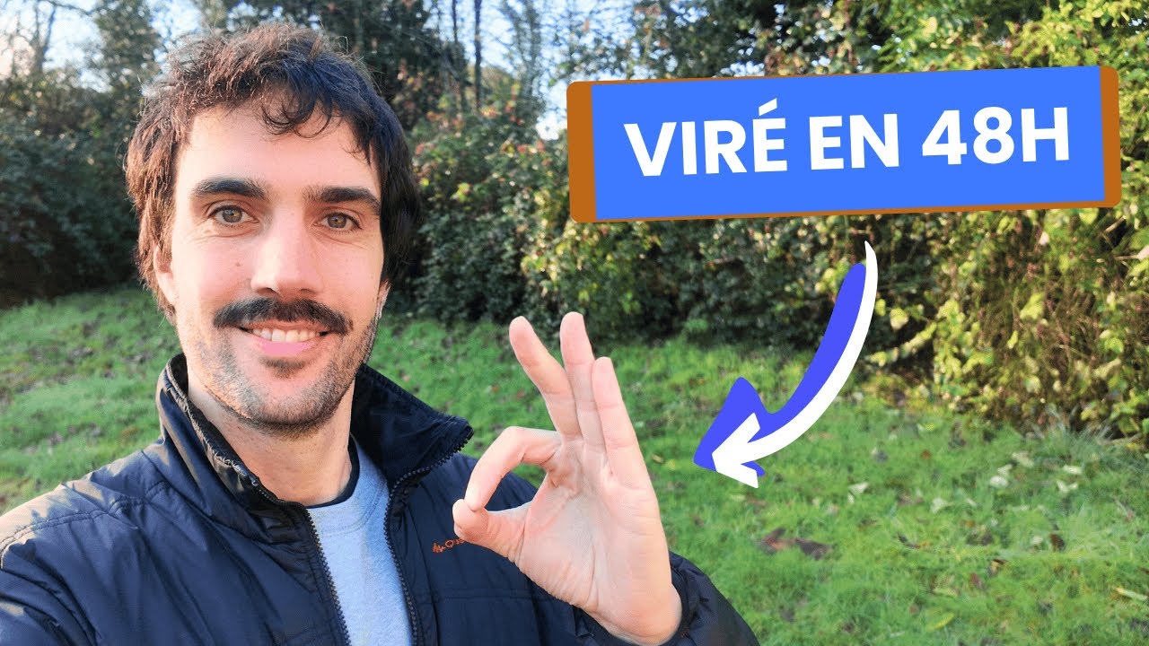 Pourquoi j'ai arrête d'avoir de l'ambition (balade dans les bois)
