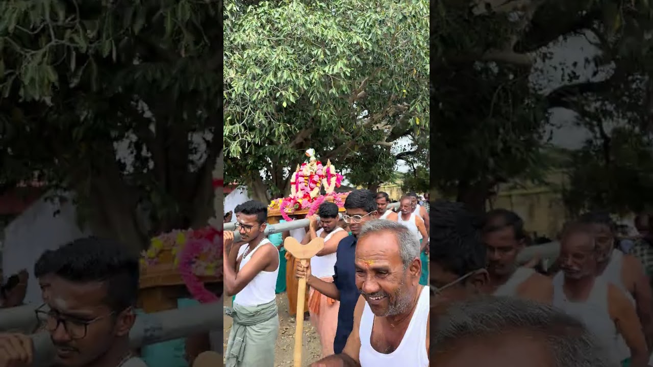 அருள்மிகு ஸ்ரீ பாலதண்டாயுதபாணி சுவாமி திருவீதியுலா | தைப்பூச திருவிழா 2026 | சிவ வாத்தியம் |