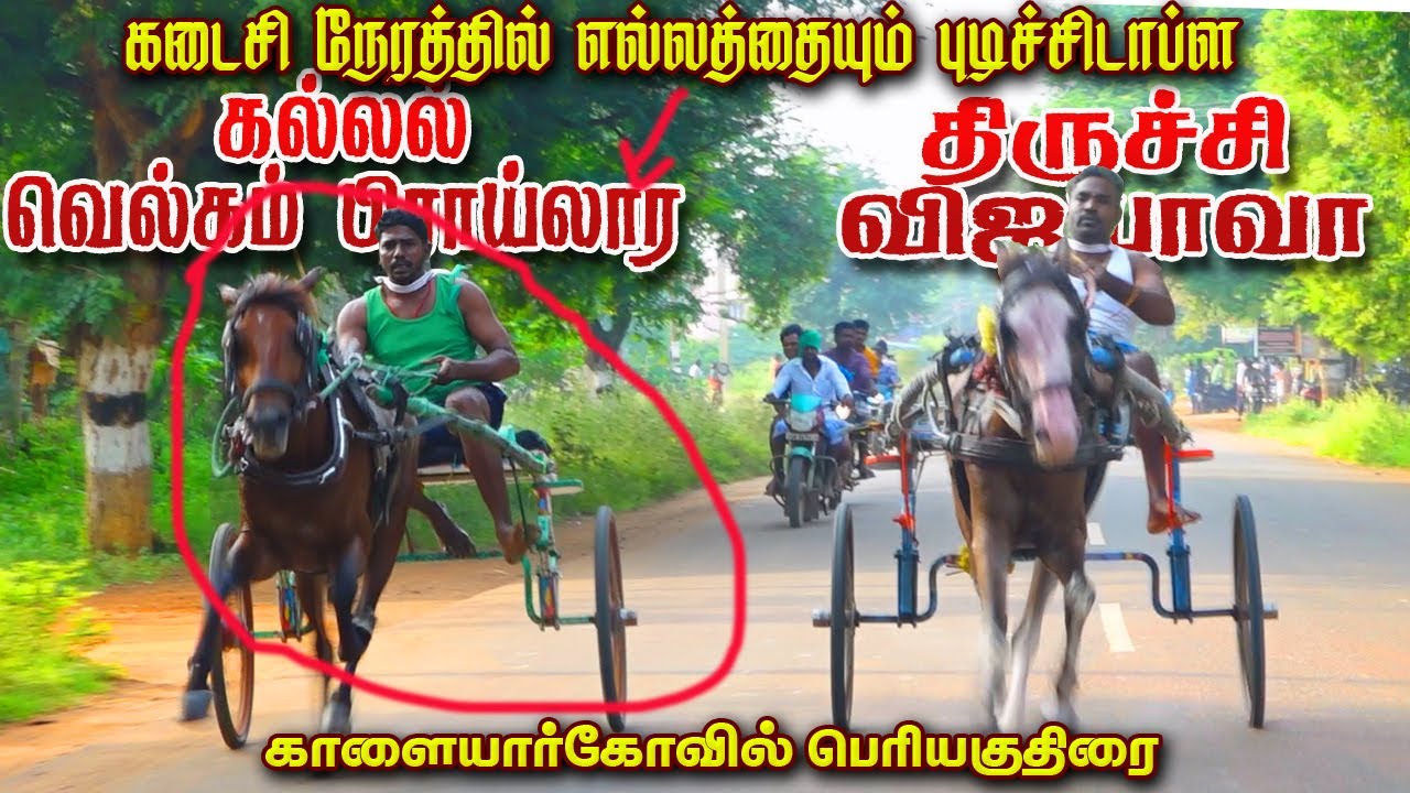பெரியகுதிரை காளையார்கோவில் சிவகங்கை மா 17/12/2022 Periyakuthirai kaliyarkovil ksk rekala race