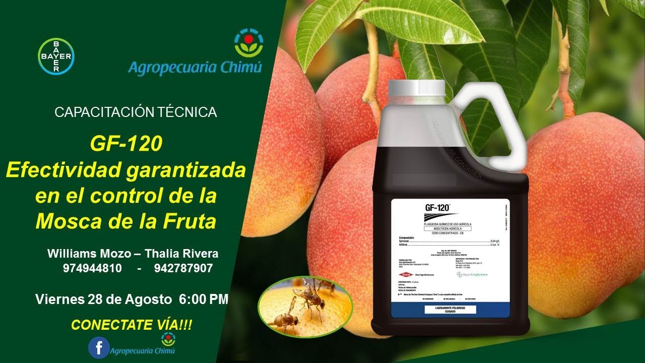 Beneficios de GF en el control de la Mosca de la Fruta