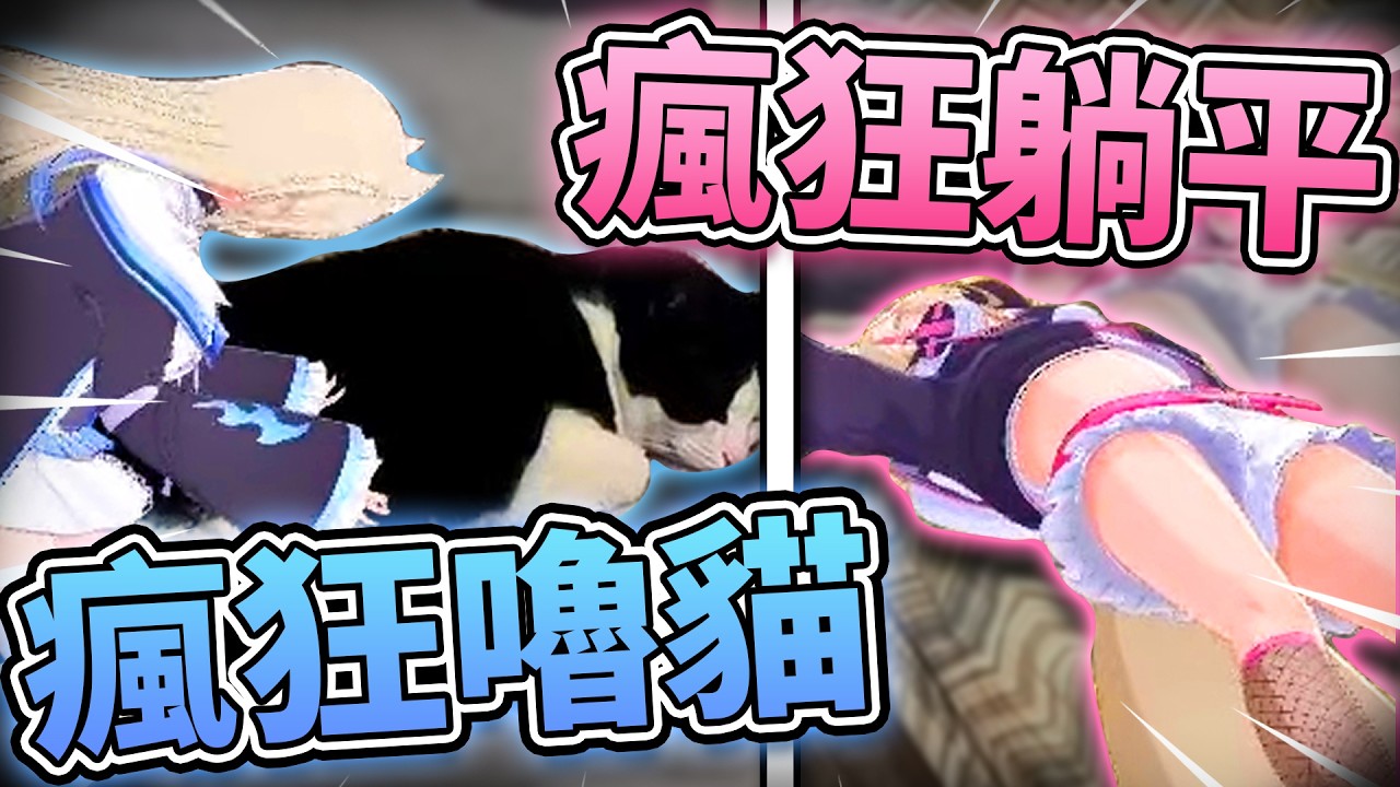 🩵 有兩隻可愛的狗勾闖進觀眾的房間囉🩷 瘋狂嚕你家的貓咪！ 躺你家的床！！霸佔你的椅子！！！ 【FUWAMOCO】【hololive中文精華】
