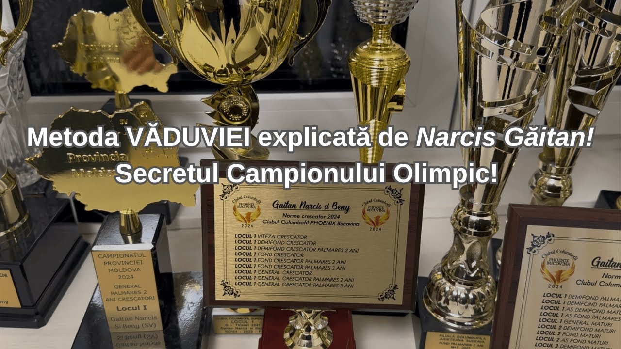 Metoda VĂDOVIEI explicată de Narcis Găitan din Suceava | Secretul Campionului Olimpic!