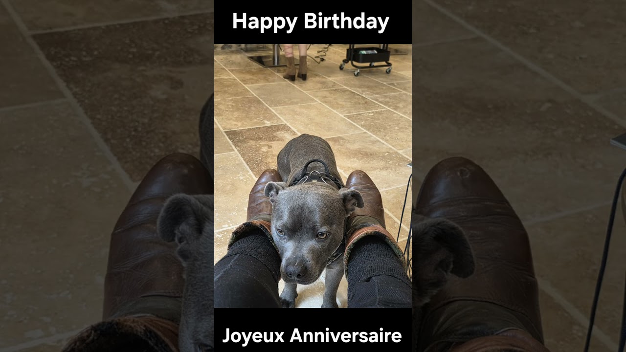 Bon Vendredi 27 Février 2026 ❤️ Bonne Fête Honorine, Grégoire,... 🌹 🌹 🌹 