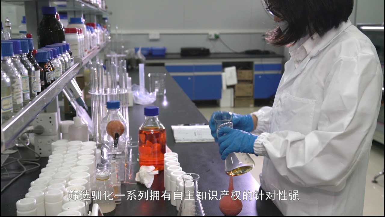 广东中微环保优势微生物菌种