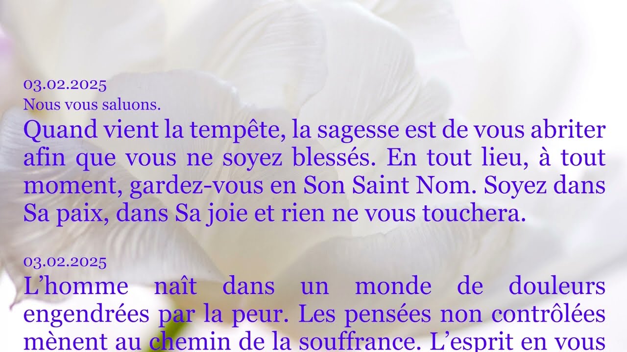 Messages re&ccedil;us en F&eacute;vrier 2025 - &Eacute;veil Spirituel - Conscience