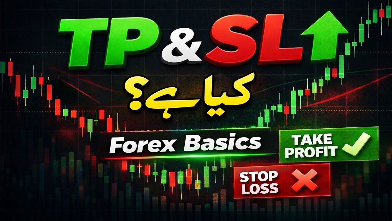 What is Take Profit (TP) & Stop Loss (SL) in Forex? | Beginner Forex Course Urdu Hindi