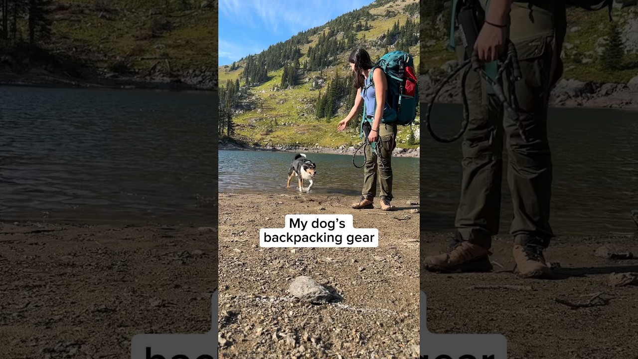 Dog gear load out for multi day hikes and camping. Backpacking in the warmer months.