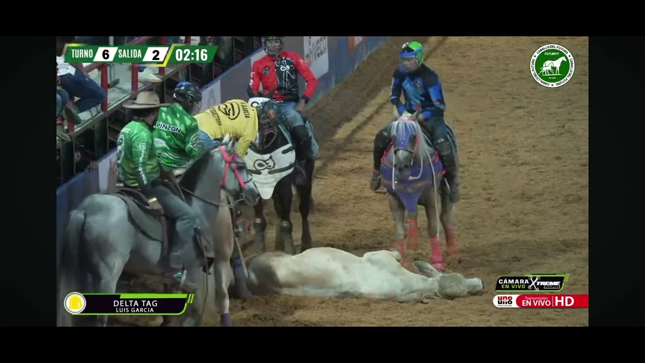 Turno 6 salida 2 FUTURITY DEL COLEO 🤠😎