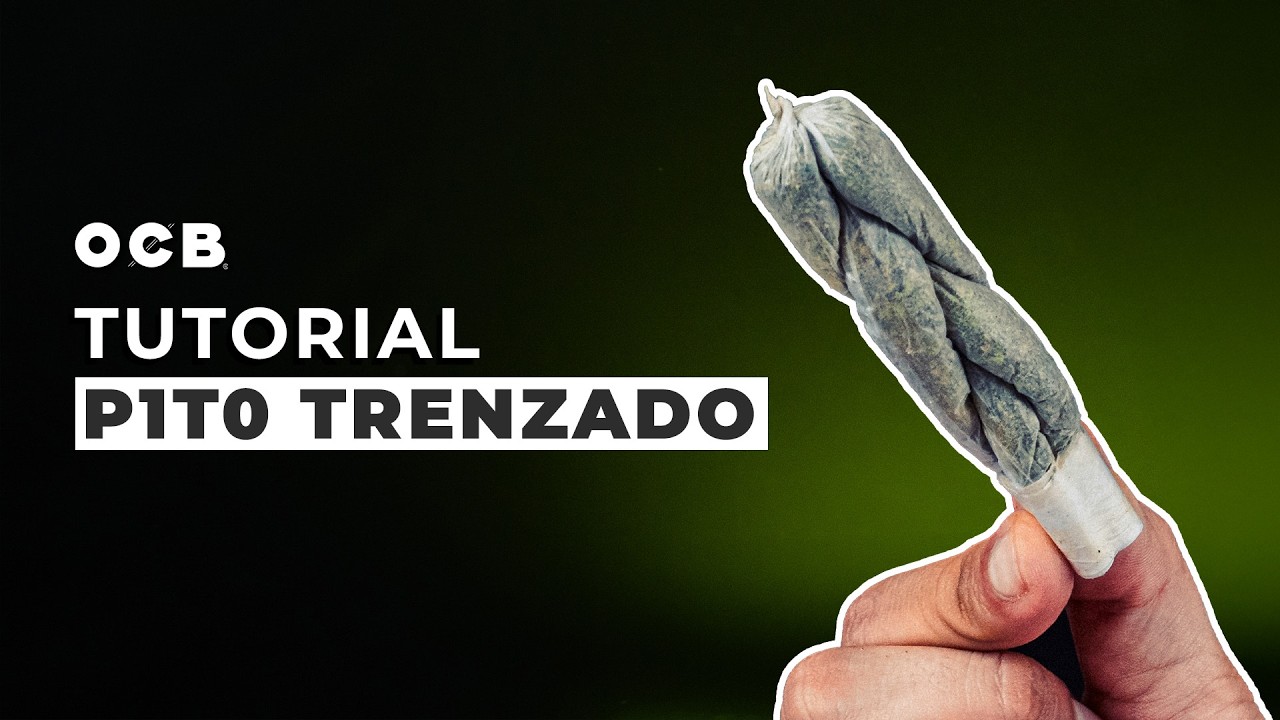 TUTORIAL: PORRO TRENZADO
