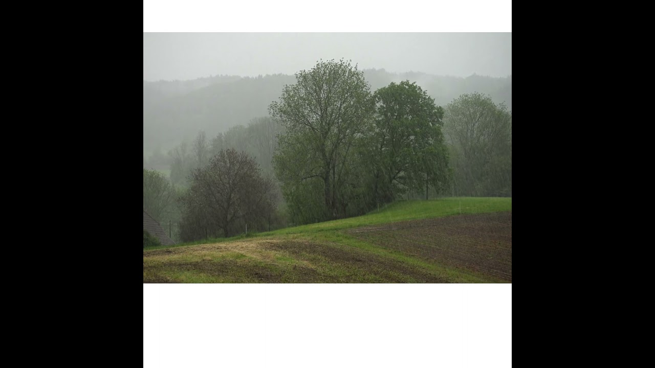 upchurch- real country