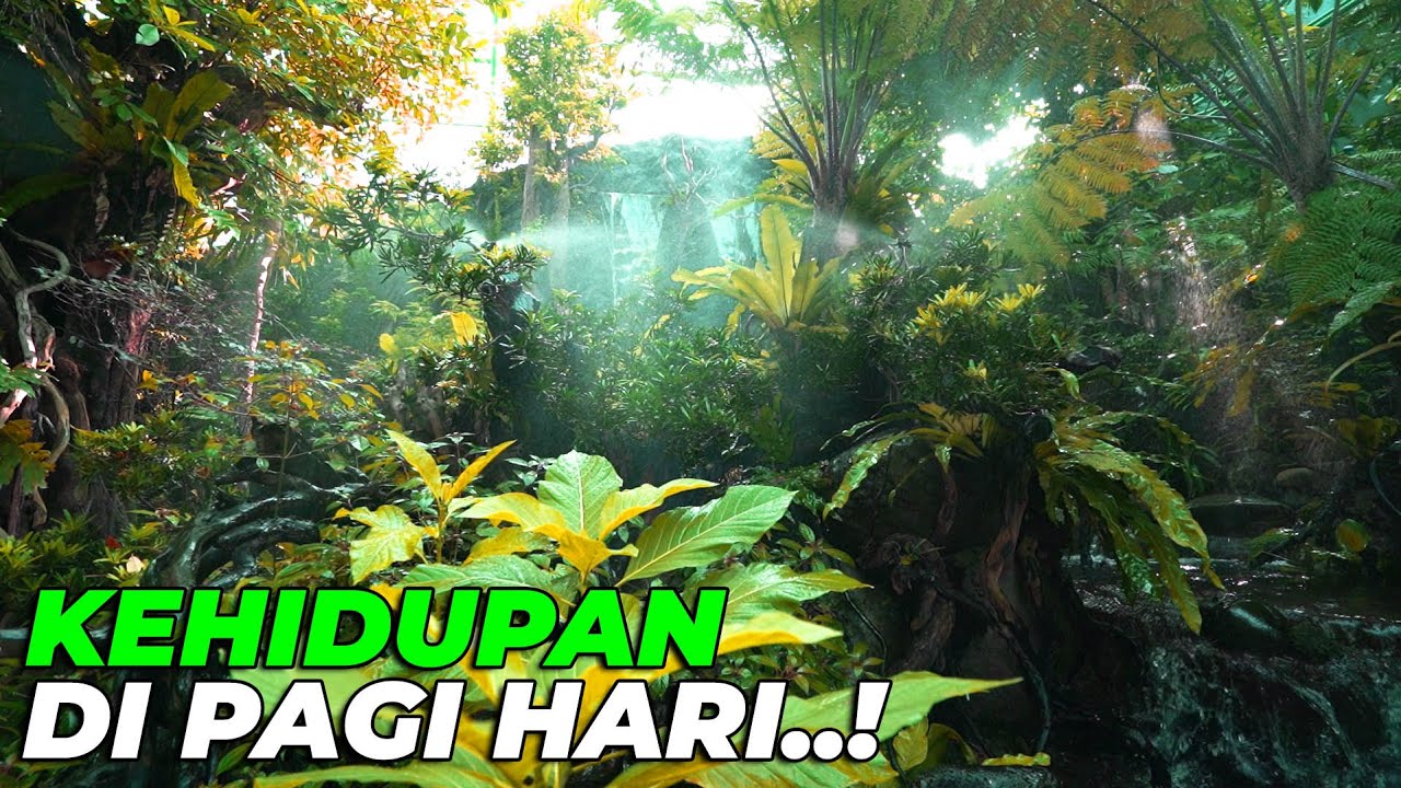 RELAXING.. KEHIDUPAN HUTAN BUATAN DI IBU KOTA..!