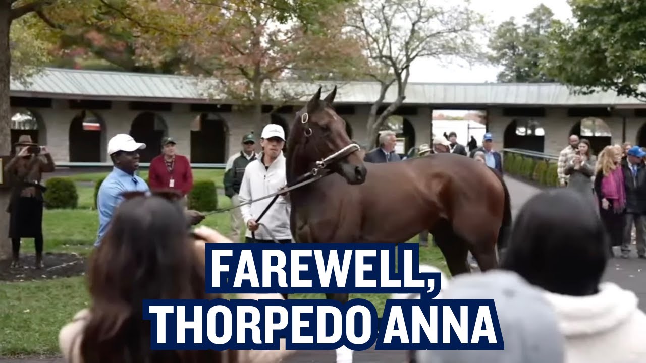 THORPEDO ANNA Parades in the Keeneland Paddock