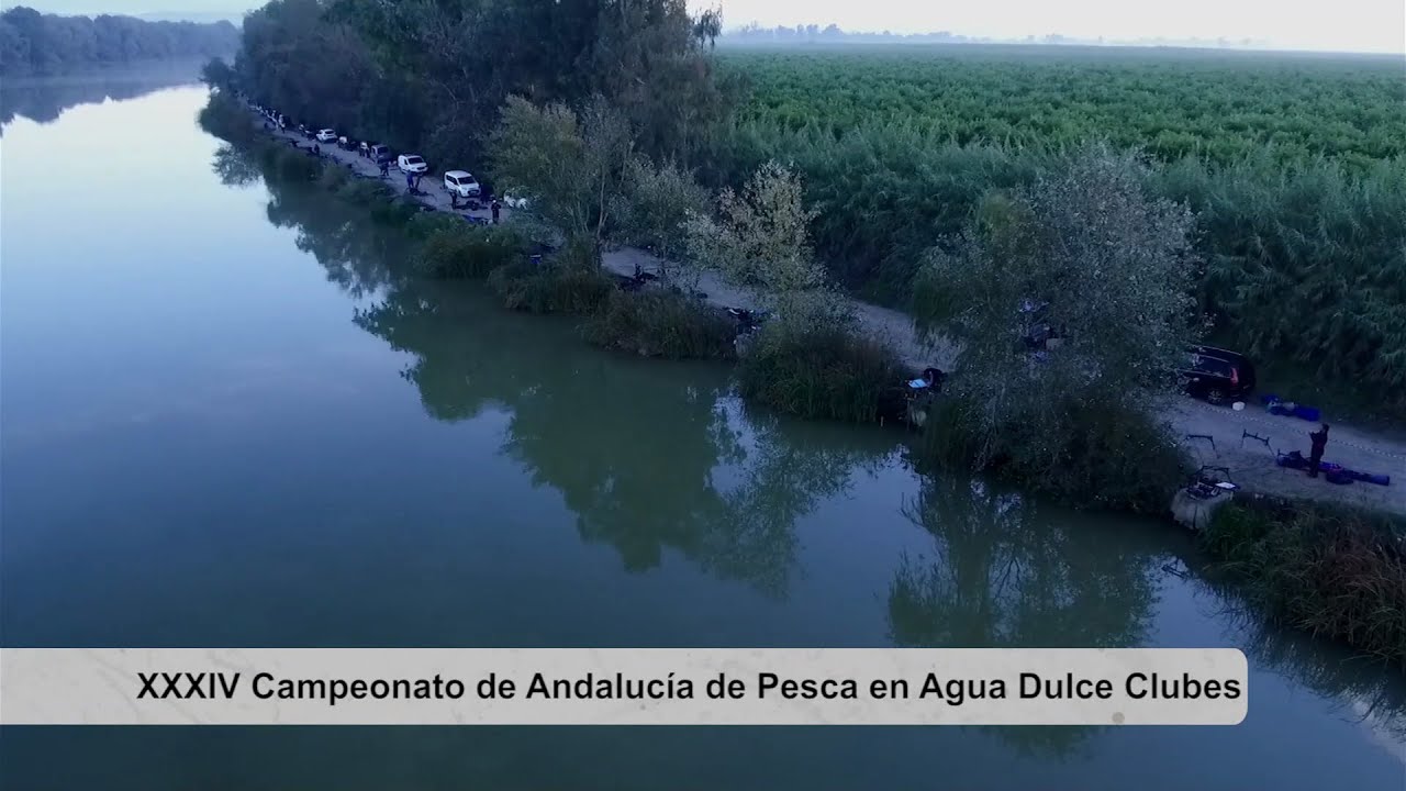 Campeonato de Andalucia Liga Clubes