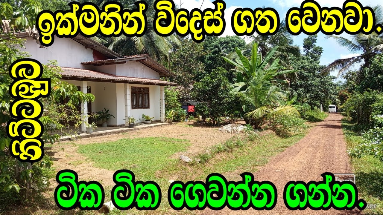 ලස්සන තැනක් .ටික ටික ගෙවන්න ගන්න .Gampaha Land/Nittabuwa Land/Wathupitiwala Land/Aduwata Idam.