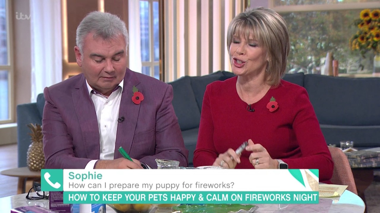 How Can I Prepare My Puppy For Fireworks? | This Morning
