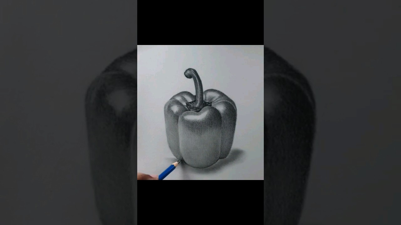 #Capsicum #Sketch #Shimlamirch #stilllife #vegetable